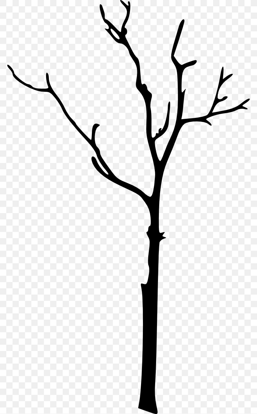 Silhouette Twig Clip Art, PNG, 774x1321px, Silhouette, Artwork, Black And White, Branch, Drawing Download Free