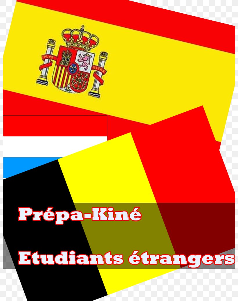 Flag Of Spain Logo Brand, PNG, 800x1035px, Spain, Area, Brand, Cushion, Flag Download Free