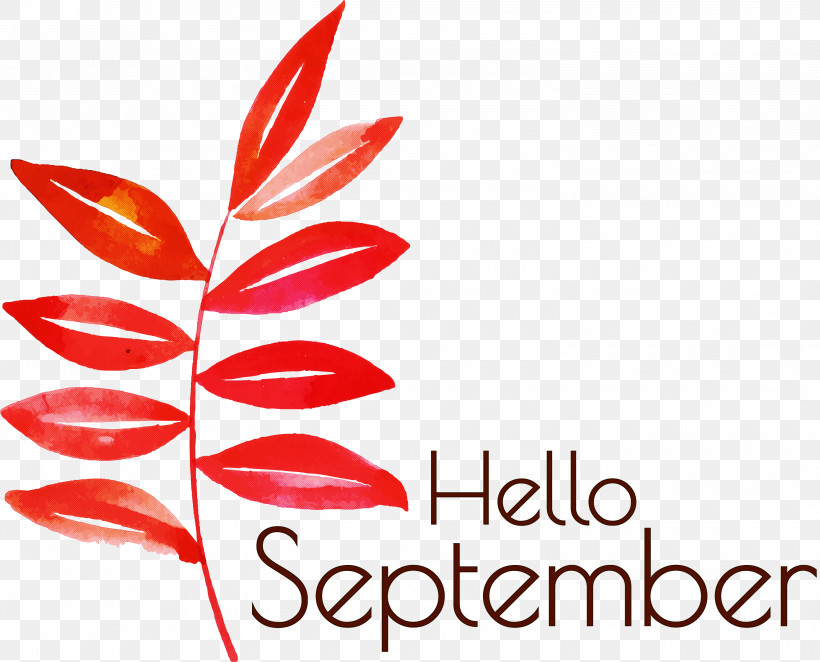 Hello September September, PNG, 3000x2422px, Hello September, Abstract Art, Autumn, Autumn Leaf Color, Color Download Free
