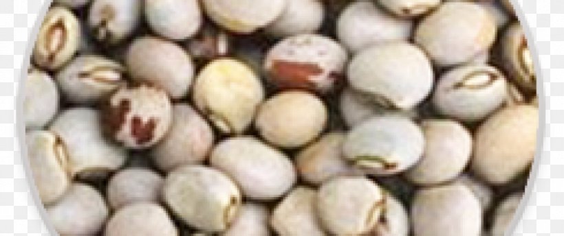 Pigeon Pea Soybean Pistachio Seed, PNG, 847x356px, Pigeon Pea, Bean, Commodity, Food, Health Download Free