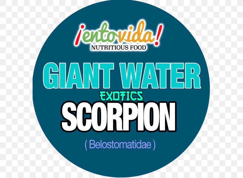 Scorpion Nepidae Logo Brand Font, PNG, 600x600px, Scorpion, Area, Brand, Edible Water Bottle, Logo Download Free
