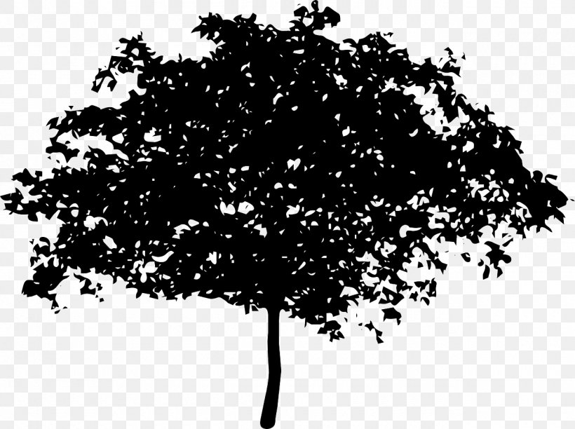 Tree Oak Trunk Clip Art, PNG, 1280x956px, Tree, Black And White, Branch, Drawing, Giant Sequoia Download Free