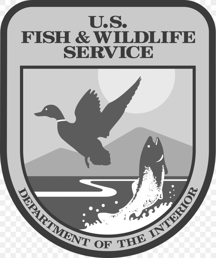 United States Fish And Wildlife Service National Wildlife Refuge Federal Government Of The United States Hunting Conservation, PNG, 2000x2388px, National Wildlife Refuge, Beak, Bird, Black And White, Brand Download Free