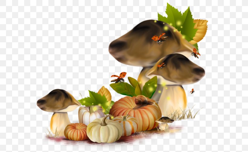Autumn Clip Art Fall Pumpkins: Orange And Plump Desktop Wallpaper, PNG, 600x504px, Autumn, Dog Breed, Flower, Food, Fungus Download Free