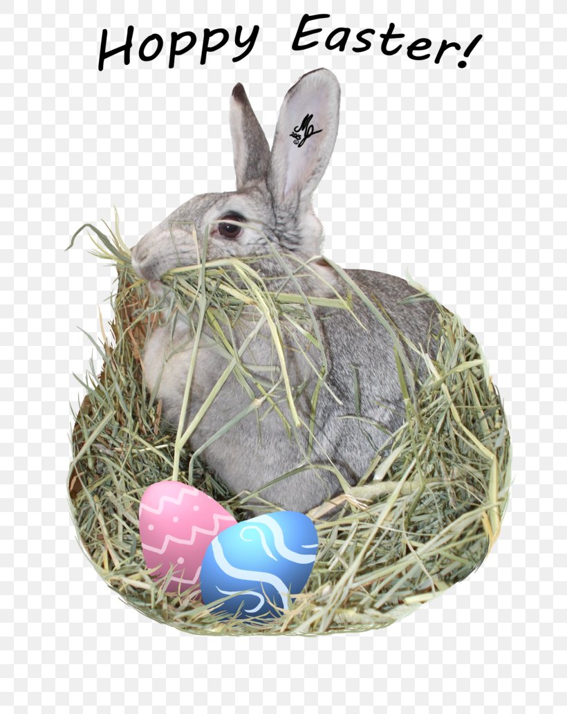 Domestic Rabbit Easter Bunny Hare, PNG, 774x1032px, Domestic Rabbit, Easter, Easter Bunny, Hare, Rabbit Download Free