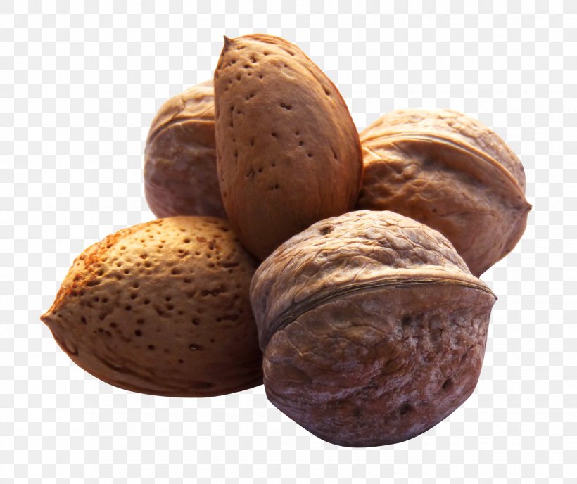 English Walnut, PNG, 1650x1385px, Nut, Chocolate, Commodity, Digital Image, English Walnut Download Free