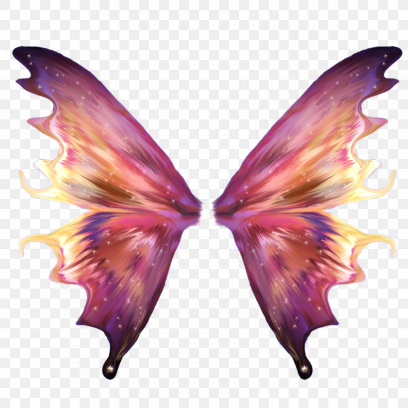 Fairy Desktop Wallpaper Wings, PNG, 850x850px, Fairy, Butterfly, Camila Cabello, Drawing, Insect Download Free