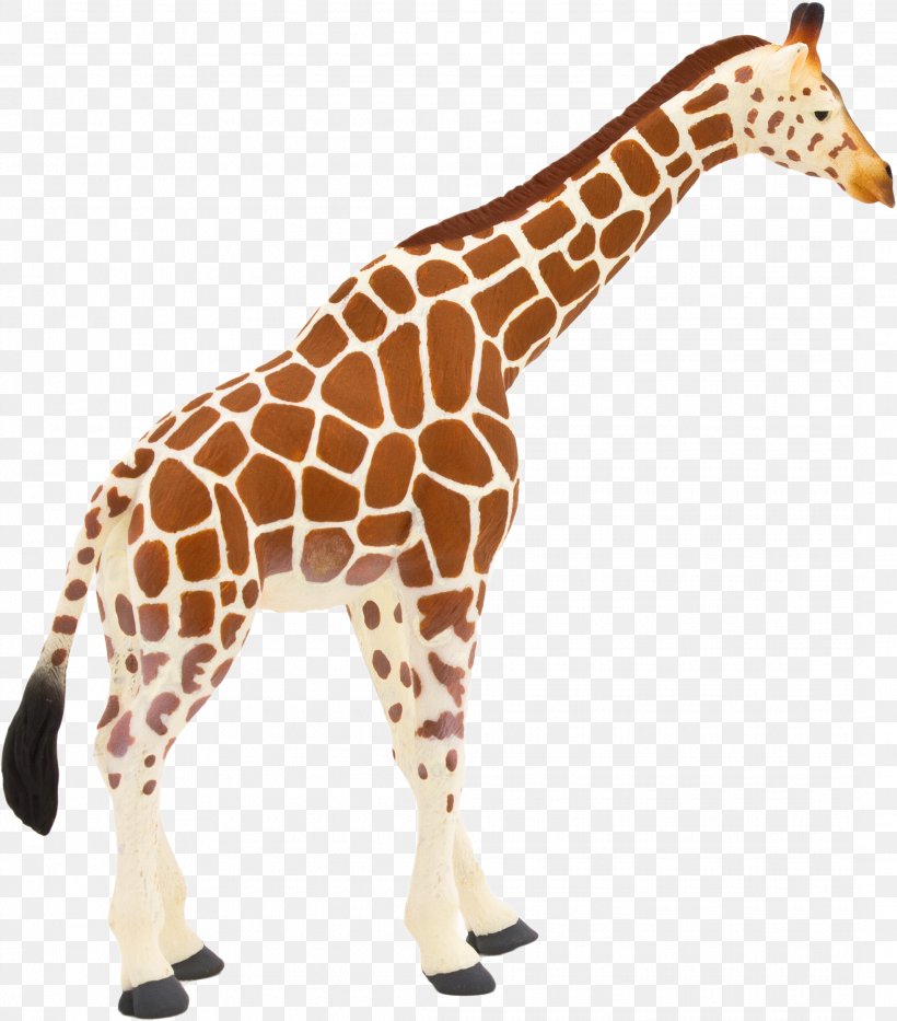 Giraffidae Giraffe Terrestrial Animal Animal Figure Wildlife, PNG, 2135x2430px, Giraffidae, Animal Figure, Fawn, Giraffe, Snout Download Free