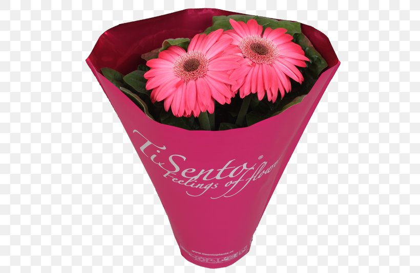 Transvaal Daisy Flowerpot Cut Flowers Floristry, PNG, 800x534px, Transvaal Daisy, Artificial Flower, Color, Cut Flowers, Daisy Family Download Free