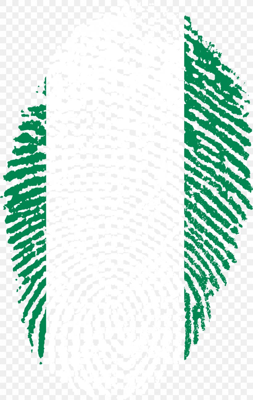 Flag Of Kuwait Fingerprint Peru, PNG, 1573x2488px, Kuwait, Area, Criminal Investigation, Fingerprint, Flag Download Free