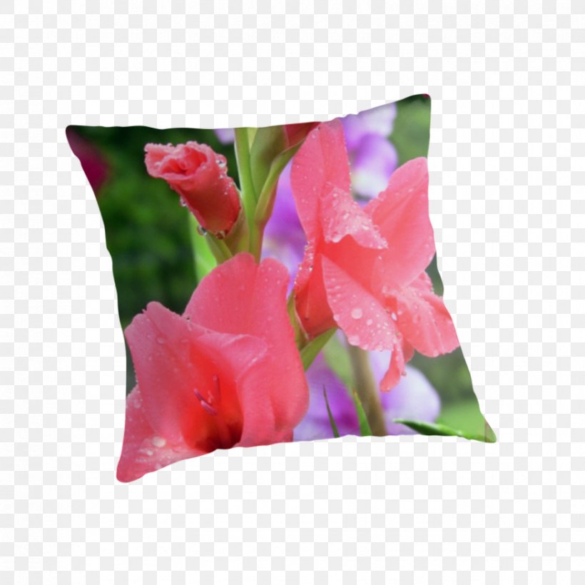 Gladiolus Throw Pillows Cushion Tulip, PNG, 875x875px, Gladiolus, Cushion, Cut Flowers, Flower, Flowering Plant Download Free