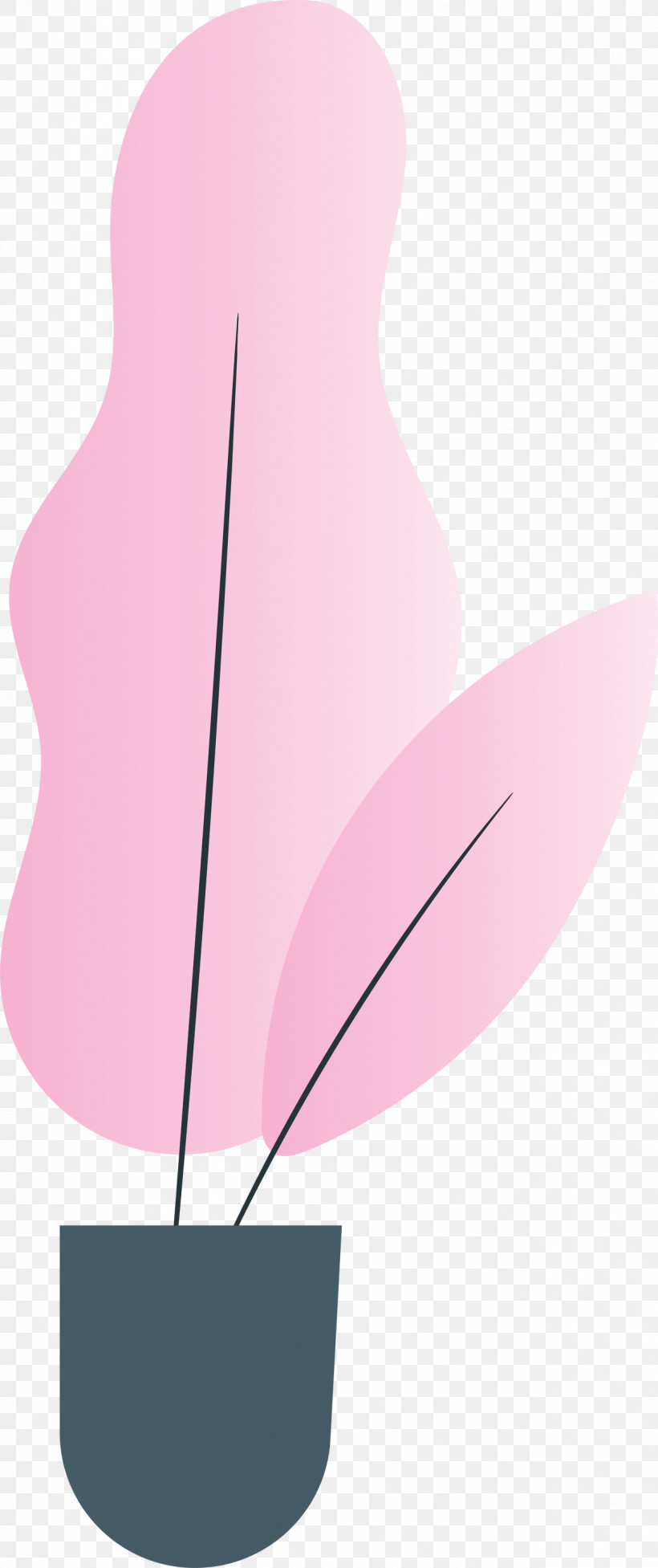 Pink M Angle, PNG, 1259x2999px, Pink M, Angle Download Free