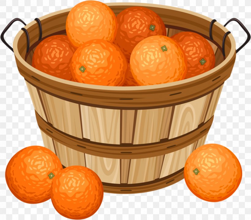 Basket Orange Drawing Clip Art, PNG, 841x738px, Basket, Apple, Citrus, Clementine, Drawing Download Free