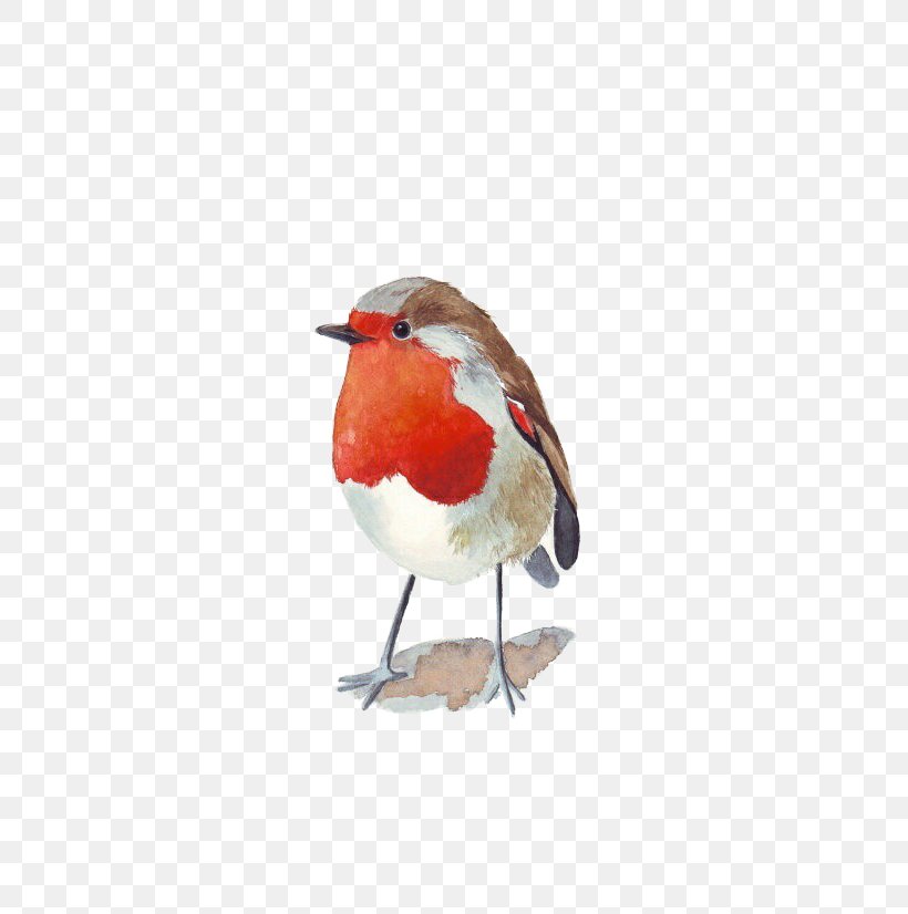 Bird Watercolor Painting Architecture In Watercolor Wren, PNG, 570x826px, Bird, Art, Artist, Beak, Cardinal Download Free