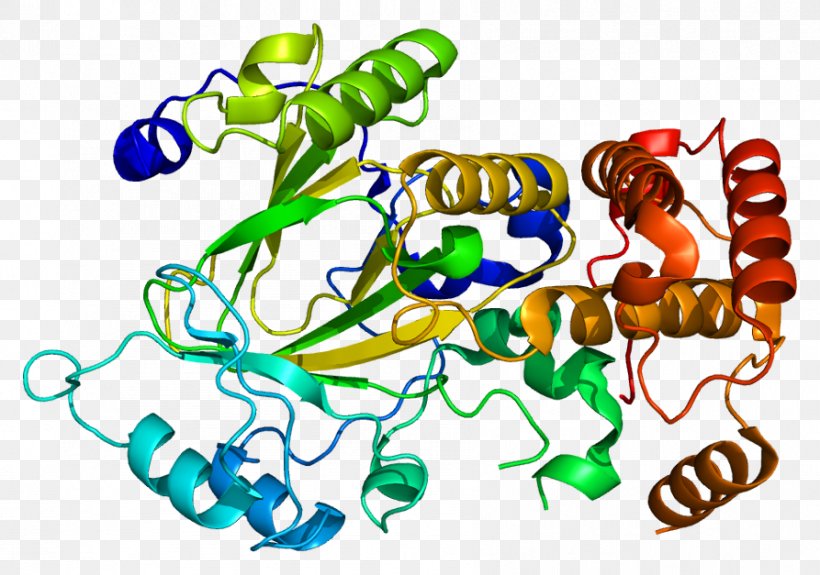 KDM2A Demethylase Protein Alpha-ketoglutarate-dependent Hydroxylases Histone, PNG, 893x627px, Watercolor, Cartoon, Flower, Frame, Heart Download Free