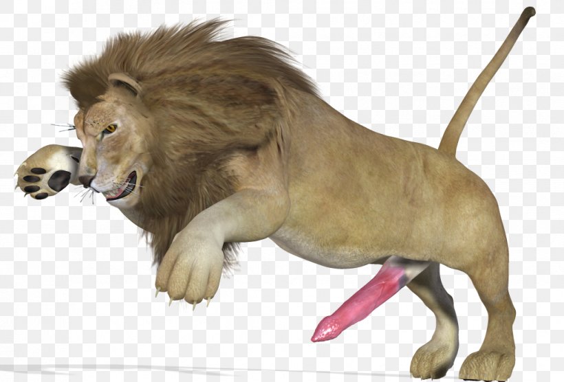 Lion Big Cat Animal, PNG, 1017x690px, Lion, Animal, Big Cat, Big Cats, Carnivoran Download Free