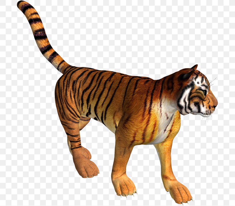 Tiger Lion Leopard, PNG, 703x721px, Tiger, Animal Figure, Big Cats, Carnivoran, Cat Like Mammal Download Free