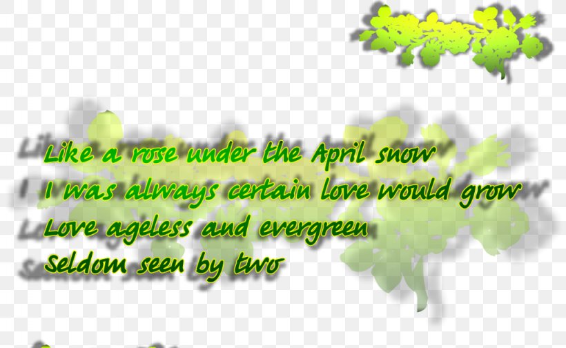 Tree Green Line Font, PNG, 1024x630px, Tree, Flora, Grass, Green, Leaf Download Free