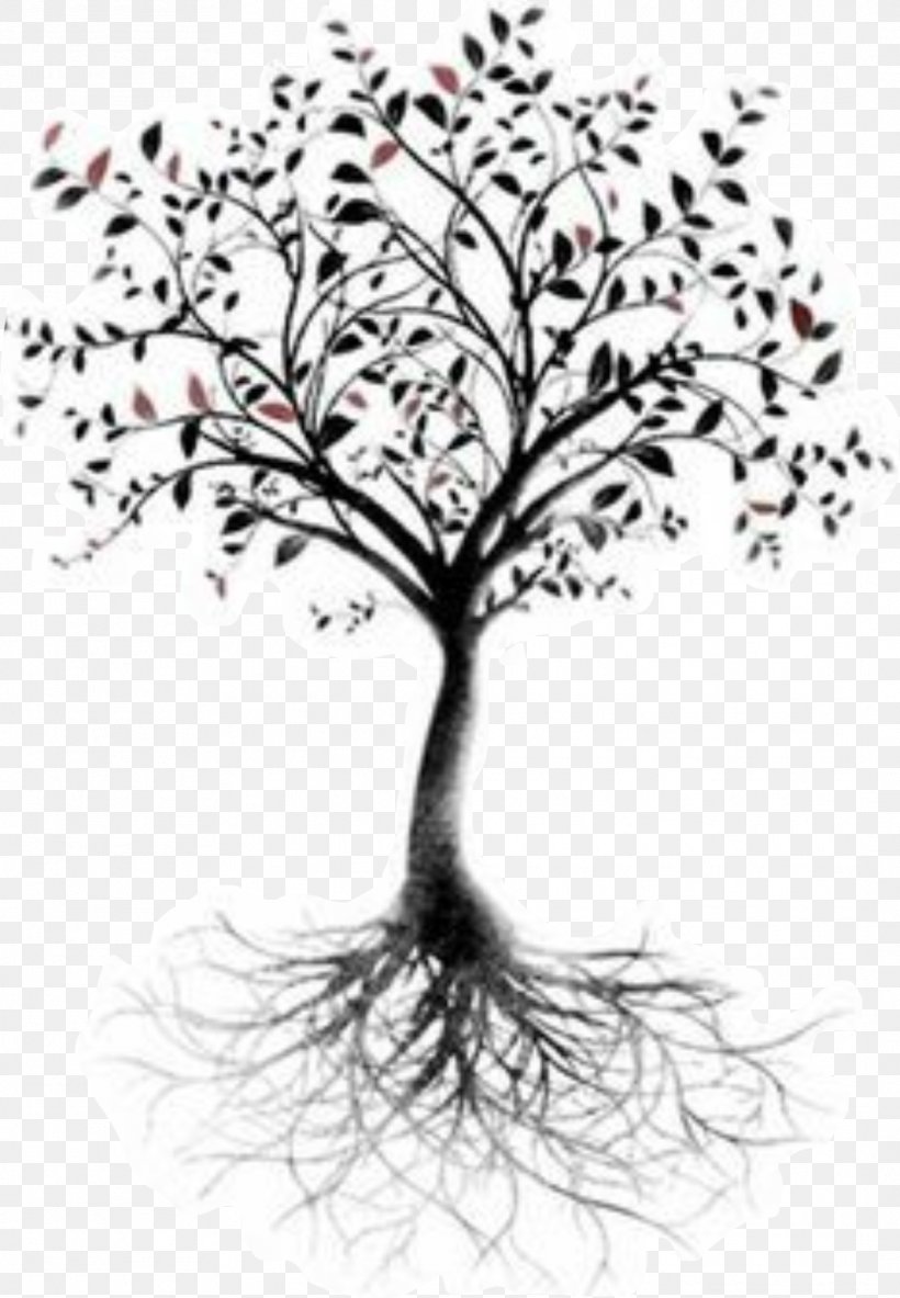 Tree Of Life Root Tattoo Branch, PNG, 1064x1536px, Tree Of Life, Art, Artwork, Black And White, Branch Download Free