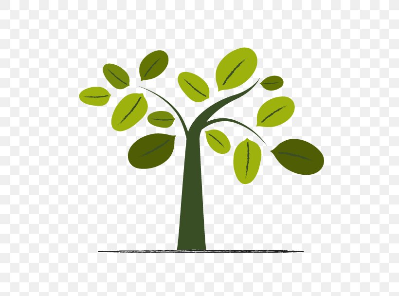 Vector Graphics Tree Illustration Olive Clip Art, PNG, 605x608px, Tree, Branch, Flora, Food, Grass Download Free