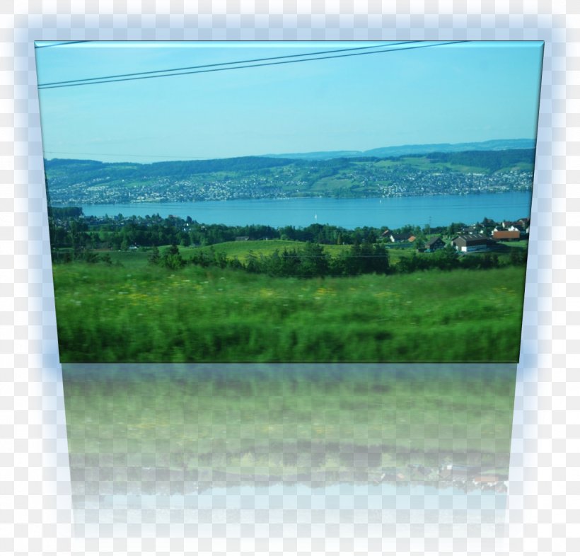 Window Water Resources Land Lot Picture Frames Energy, PNG, 1261x1210px, Window, Energy, Grass, Grassland, Horizon Download Free