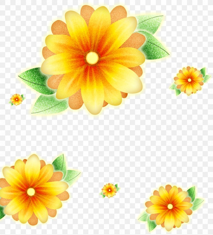 Common Sunflower Poster, PNG, 1200x1321px, Common Sunflower, Annual Plant, Calendula, Chrysanths, Cut Flowers Download Free
