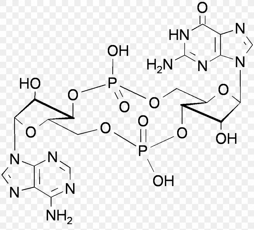 Cyclic Adenosine Monophosphate Cyclic Guanosine Monophosphate, PNG, 952x864px, Adenosine Monophosphate, Adenosine, Adenosine Diphosphate, Area, Auto Part Download Free