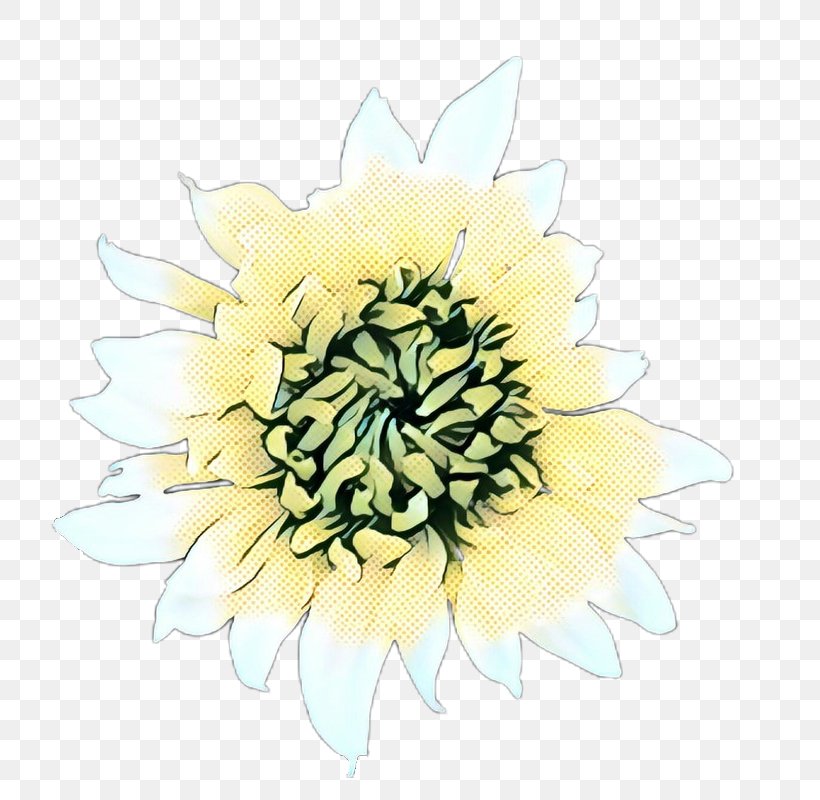 Flowers Background, PNG, 800x800px, Pop Art, Aster, Chrysanthemum, Cut Flowers, Dahlia Download Free