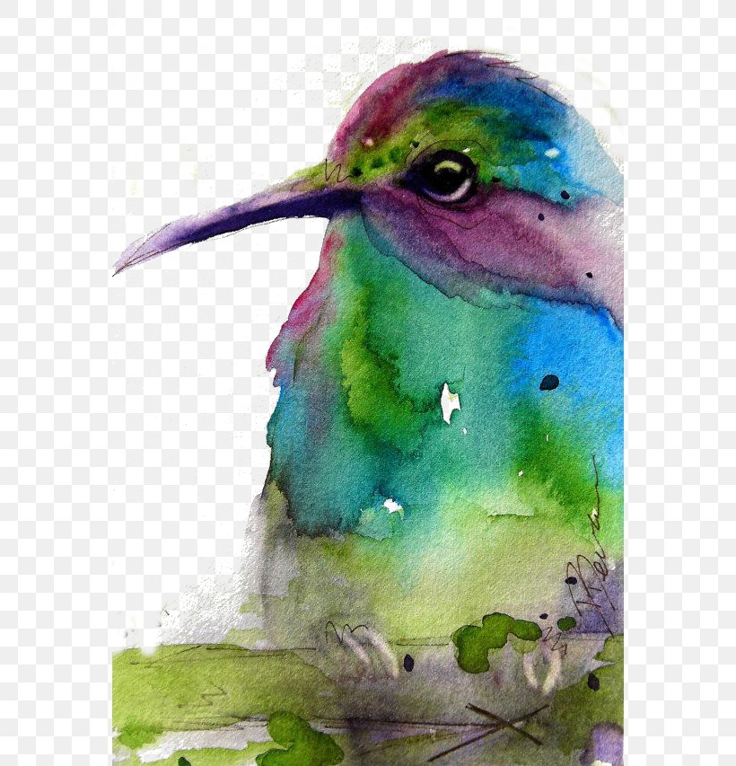 Hummingbird Green Purple, PNG, 570x853px, Hummingbird, Art, Artist, Beak, Bird Download Free