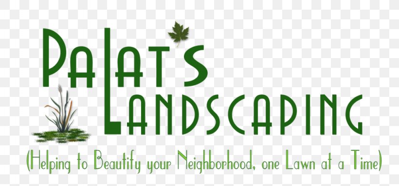 Logo Grasses City Park Mall Brand Font, PNG, 1024x480px, Logo, Brand, Family, Grass, Grass Family Download Free