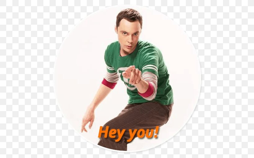 Sheldon Cooper The Big Bang Theory Jim Parsons The Friendship Algorithm Television Show, PNG, 512x512px, Sheldon Cooper, Big Bang Theory, Friendship, Friendship Algorithm, Jim Parsons Download Free