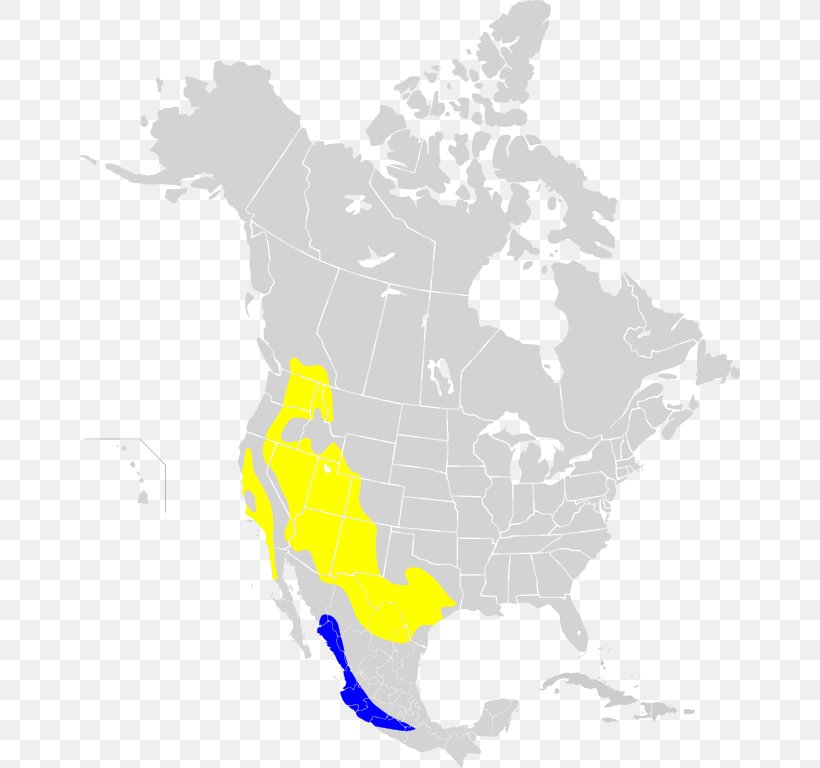 California Mapa Polityczna Great Lakes Bewick's Wren, PNG, 660x768px, California, Americas, Area, Blackbilled Magpie, Great Lakes Download Free