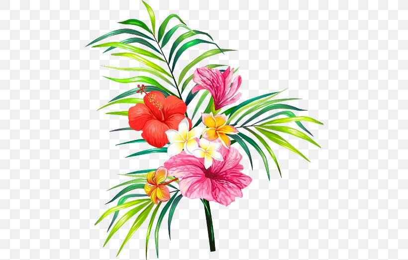 Clip Art Rosemallows Flower Vector Graphics, PNG, 480x522px, Rosemallows, Aquarium Decor, Cut Flowers, Drawing, Flora Download Free