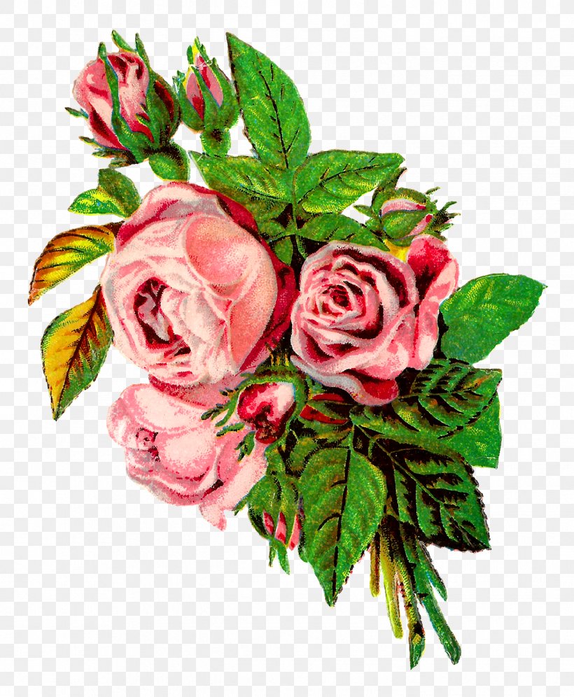 Cut Flowers Garden Roses Floral Design Clip Art, PNG, 1317x1600px, Flower, Artificial Flower, Centifolia Roses, Cut Flowers, Floral Design Download Free