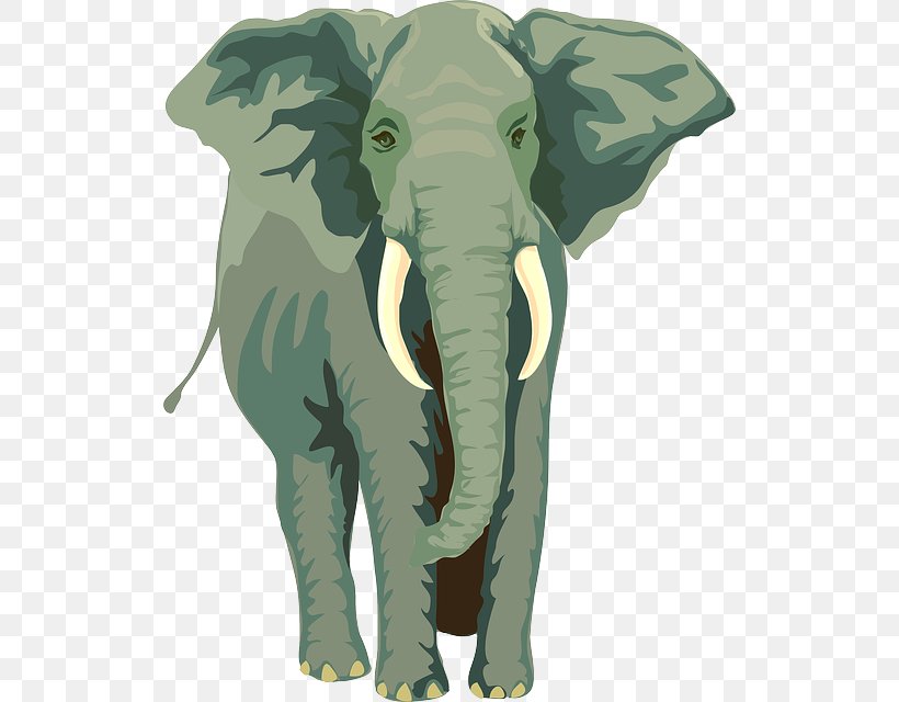 Elephants African Elephant Asian Elephant Rope Mooring, PNG, 522x640px, Elephants, African Elephant, Animal, Asian Elephant, Cattle Like Mammal Download Free