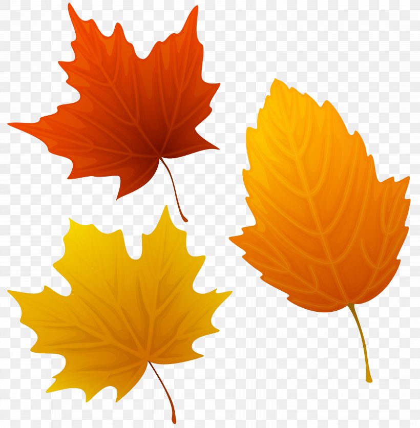 Autumn Leaf Color Art Clip Art, PNG, 6148x6275px, Autumn Leaf Color, Art, Autumn, Color, Floral Design Download Free