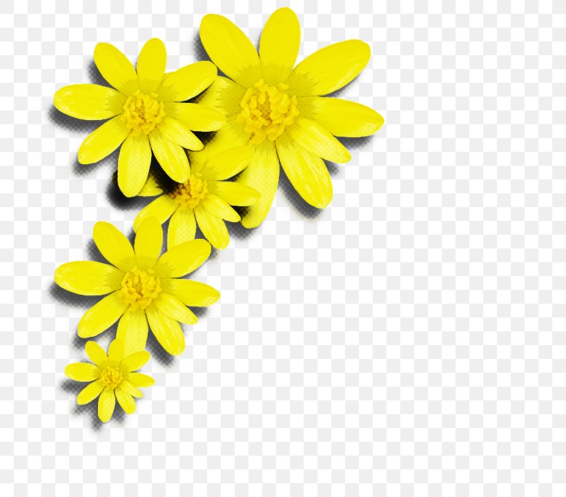 Bouquet Of Flowers Drawing, PNG, 720x720px, Petal, Cut Flowers, Daisy Family, Drawing, Euryops Pectinatus Download Free