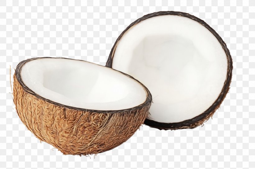 Coconut Cartoon, PNG, 1600x1062px, Bowl M, Coconut, Coconut Milk, Filipino, Html5 Download Free