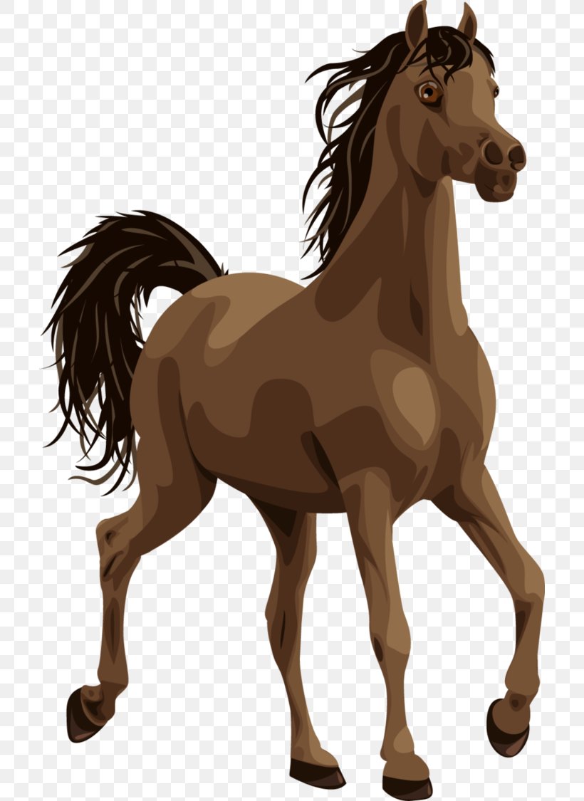 Arabian Horse Pony Colt Clip Art, PNG, 710x1125px, Arabian Horse, Animal, Bridle, Colt, Foal Download Free