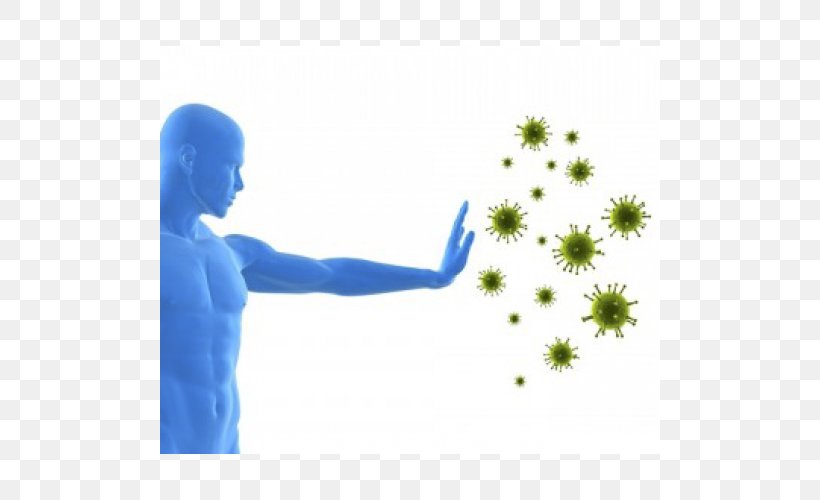 Immune System Immunity Dietary Supplement Health Vitamin D, PNG, 500x500px, Immune System, Adaptive Immune System, Antibody, Arm, Balance Download Free