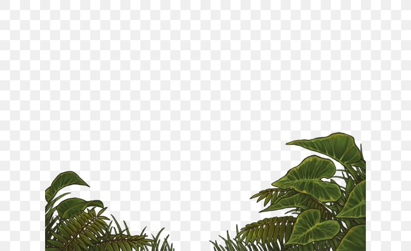Leaf YouTube Plant Vegetation PayPal, PNG, 640x500px, Leaf, Art, Branch, Deviantart, Grass Download Free