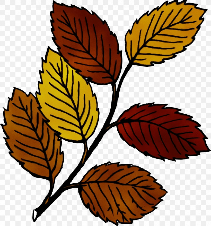 Drawing Leaf Autumn Leaf Color Cartoon Color, PNG, 837x900px, Watercolor, Autumn Leaf Color, Cartoon, Color, Drawing Download Free
