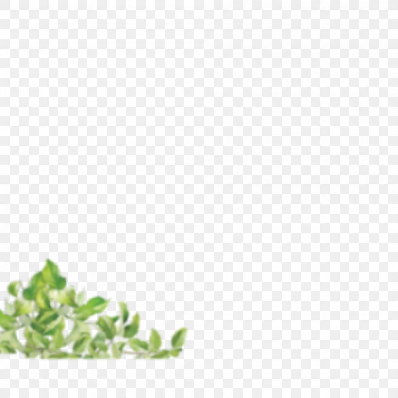 Leaf Tree, PNG, 2000x2000px, Leaf, Flower, Grass, Green, Plant Download Free