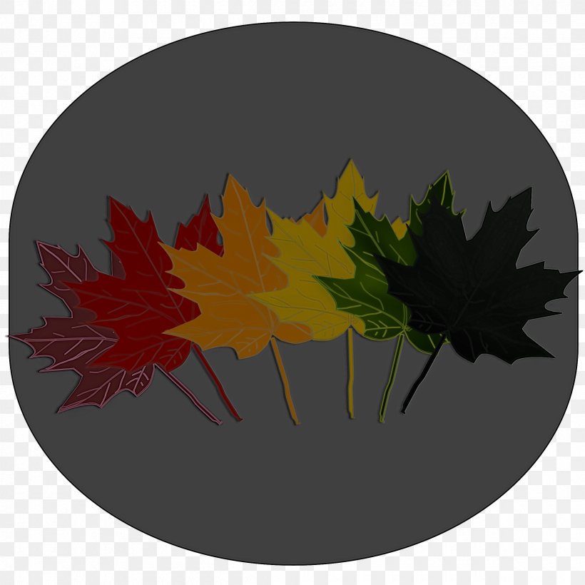 Maple Leaf, PNG, 2400x2400px, Leaf, Autumn, Black Maple, Maple, Maple Leaf Download Free