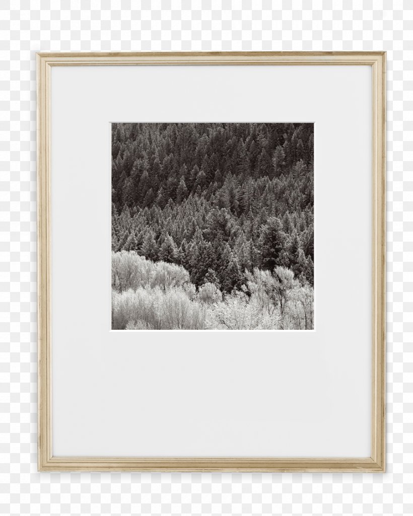Picture Frames Document Mat Coffee, PNG, 900x1125px, Picture Frames, Antique, Coffee, Coffee Cup, Cup Download Free
