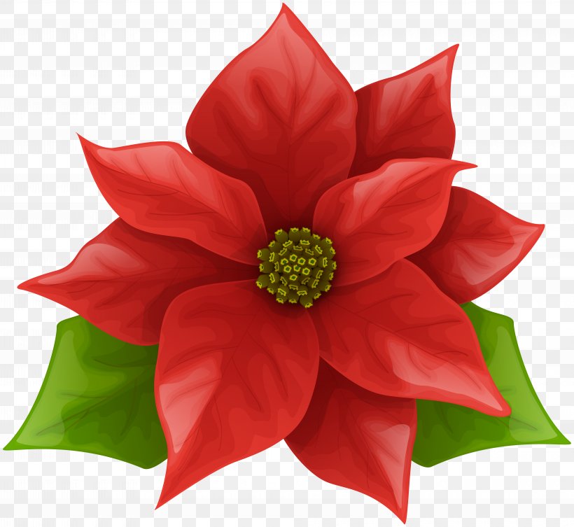 Poinsettia Clip Art, PNG, 8000x7355px, Flower, Christmas, Christmas Decoration, Cut Flowers, Flora Download Free