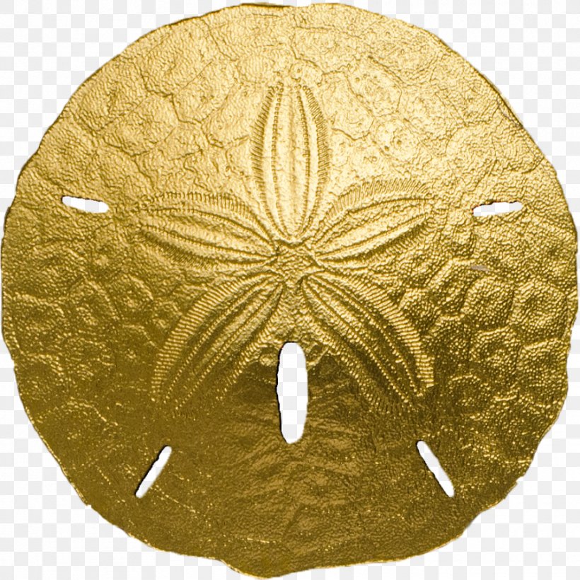 Sea Urchin Sand Dollar Gold Dollar Coin, PNG, 910x910px, Sea Urchin, Artifact, Bullion, Coin, Dendraster Excentricus Download Free