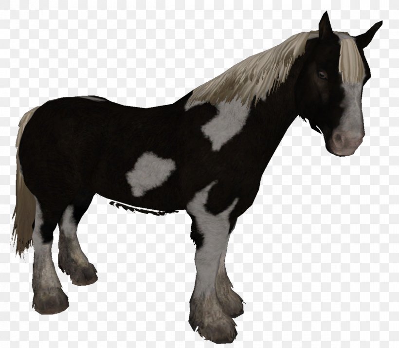 The Elder Scrolls V: Skyrim American Paint Horse Pony Mustang Foal, PNG, 1200x1047px, Elder Scrolls V Skyrim, American Paint Horse, Animal, Colt, Draft Horse Download Free