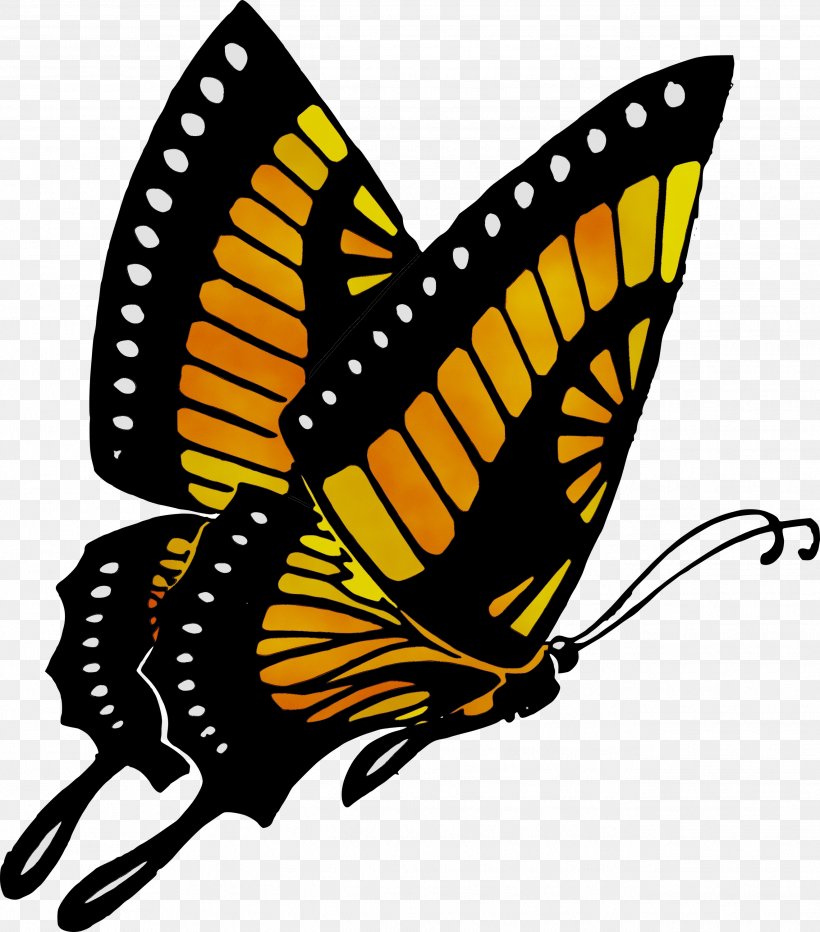 Butterfly Clip Art Vector Graphics Image, PNG, 2639x3000px, Butterfly, Arthropod, Black Swallowtail, Brushfooted Butterfly, Drawing Download Free
