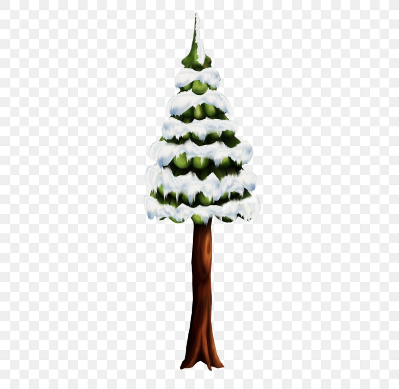Cedar Pine Fir Christmas Tree, PNG, 325x800px, Cedar, Christmas, Christmas Decoration, Christmas Ornament, Christmas Tree Download Free